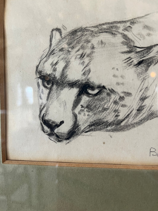 Beryl Trist (Newman) 1906-1991 Drawings