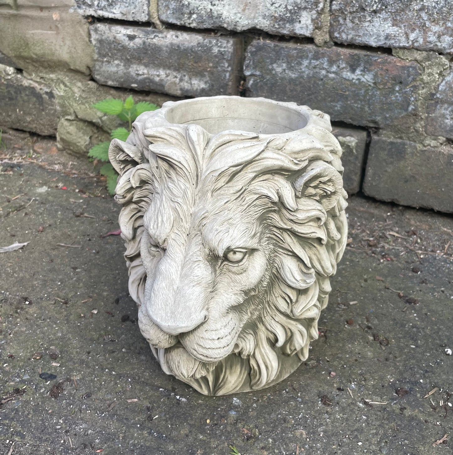 Majestic Lion's Head Concrete Planters