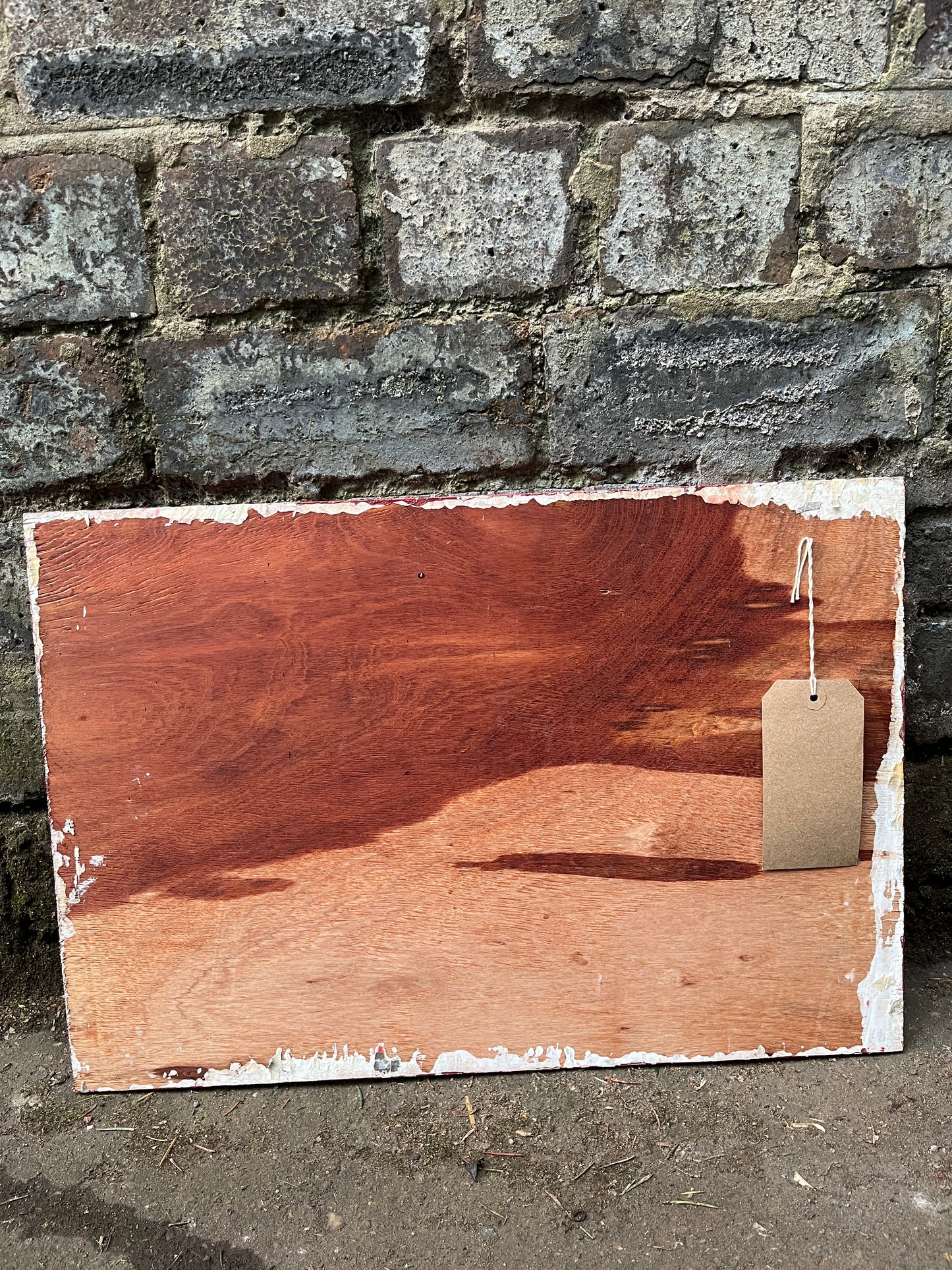 Hand Painted 'Freak Show' Wooden Sign