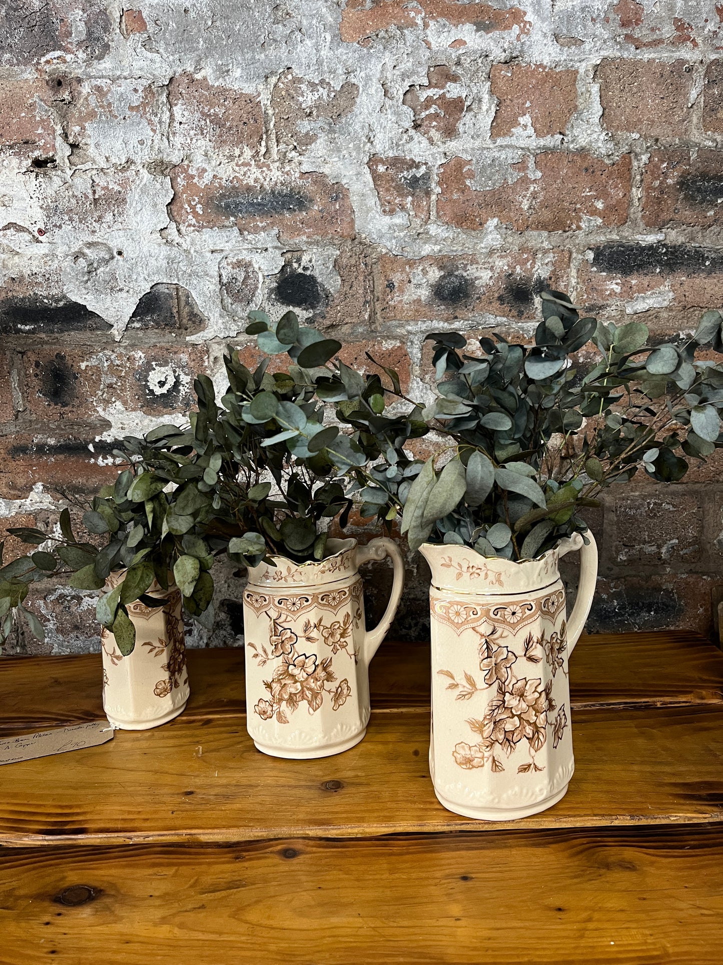 Three Brown Pitchers - Dresden Pottery by A Capper