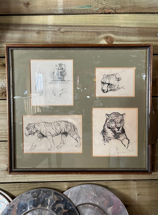Beryl Trist (Newman) 1906-1991 Drawings