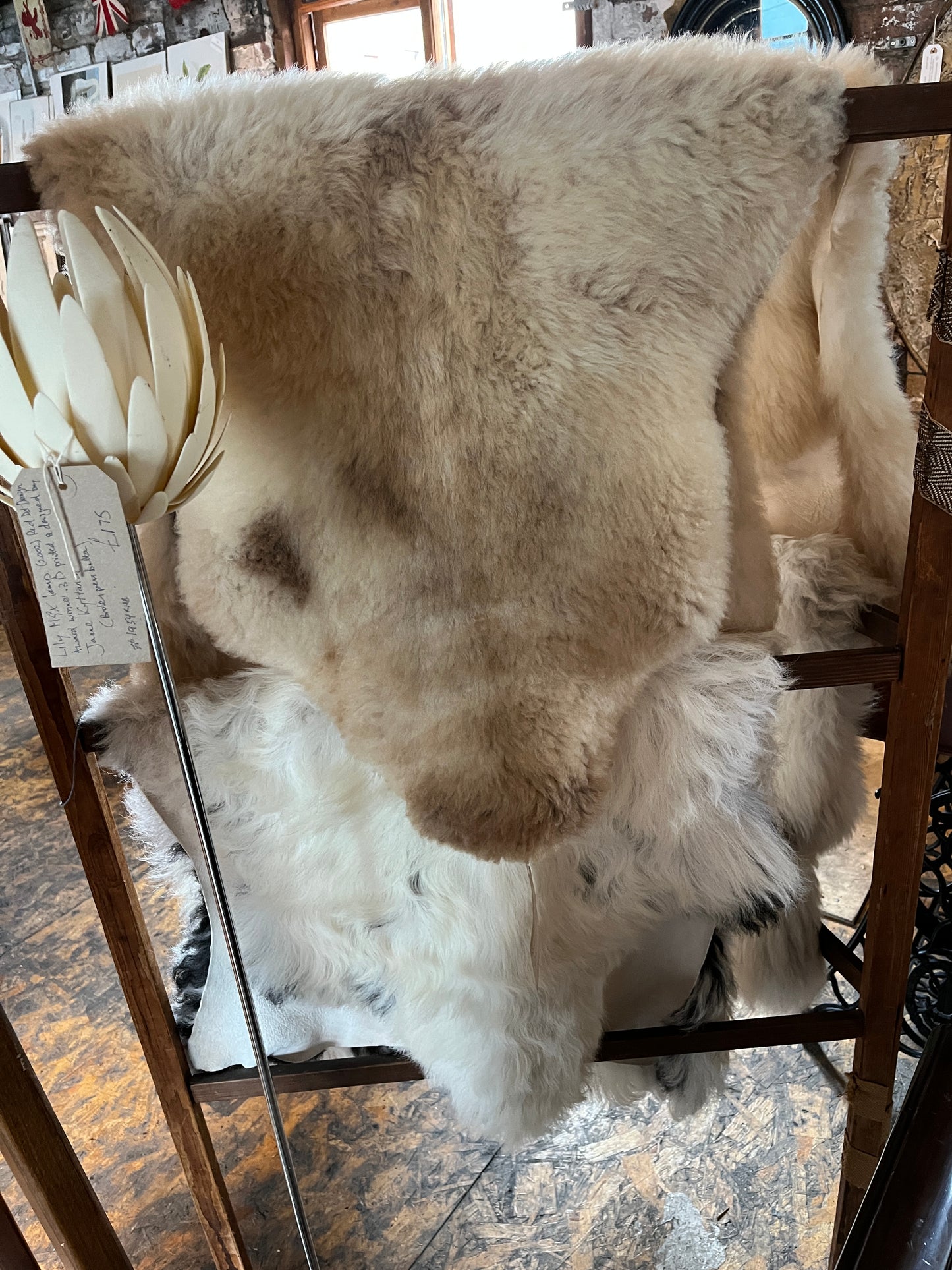 Scottish Sheepskin from Stirlingshire & North Aryshire