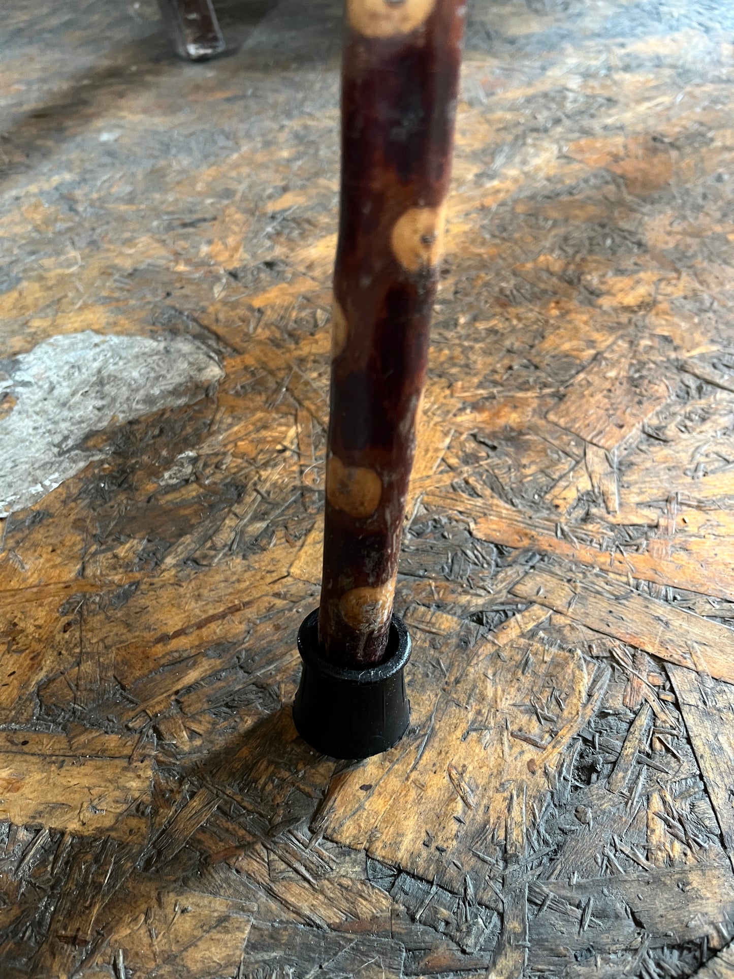 Thumbstick Chestnut Walking Stick