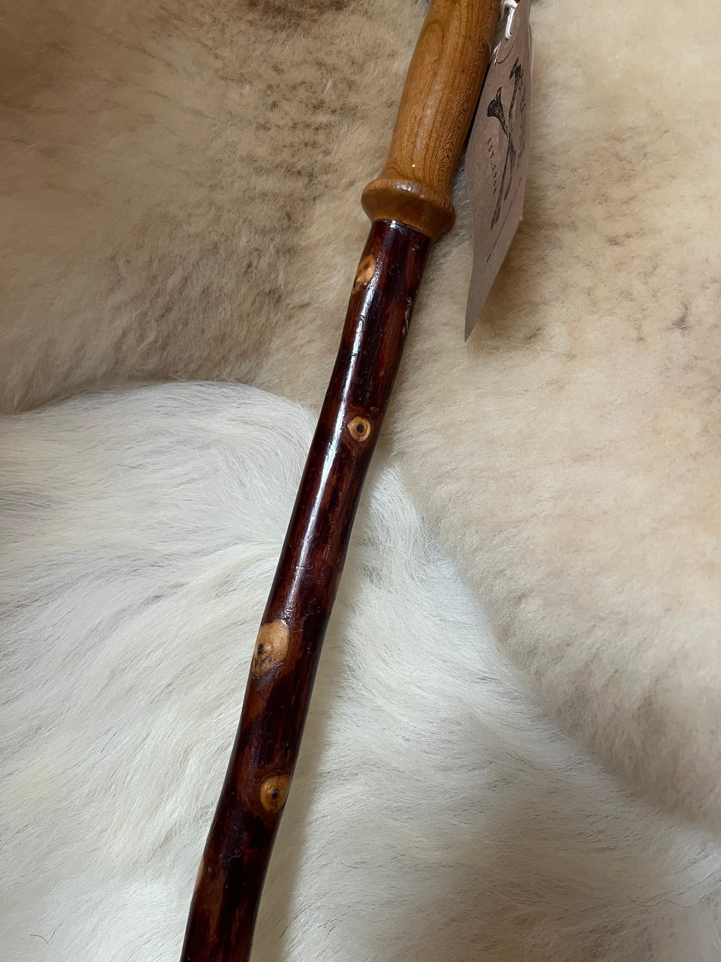 Thumbstick Chestnut Walking Stick