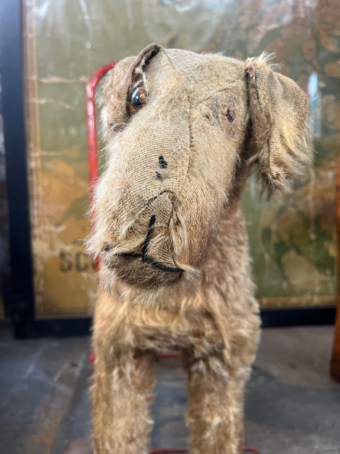 1950's Fox Terrier Mohair Dog on Wheels Push Along Walker Toy