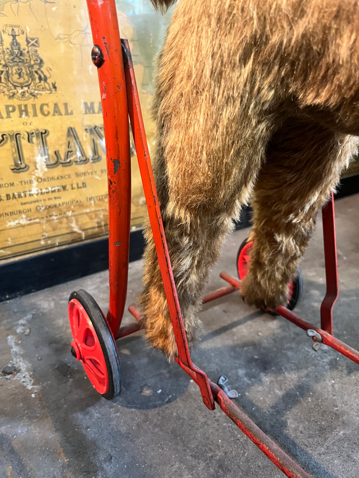 1950's Fox Terrier Mohair Dog on Wheels Push Along Walker Toy