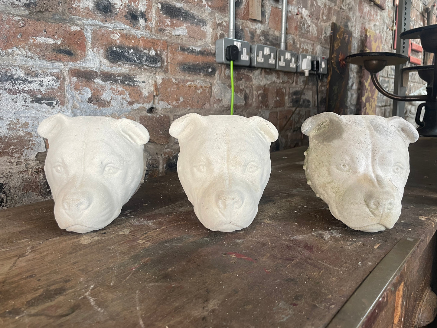Hand cast Lime Concrete Dogheads