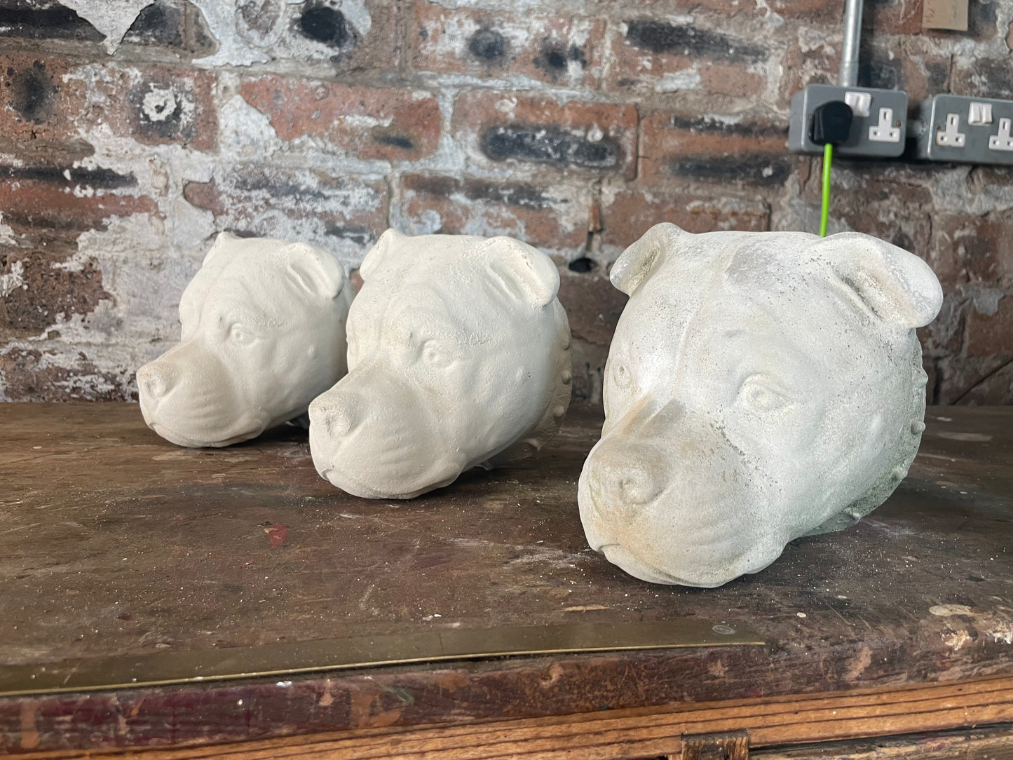 Hand cast Lime Concrete Dogheads