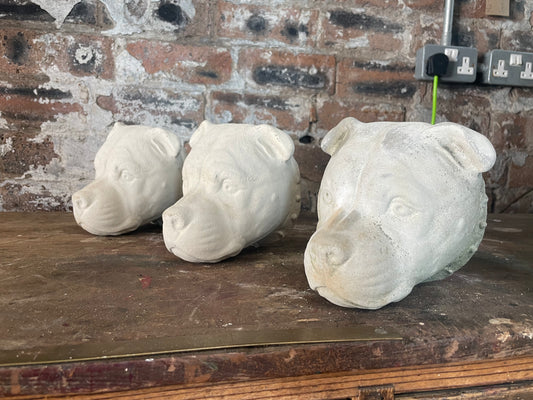 Hand cast Lime Concrete Dogheads