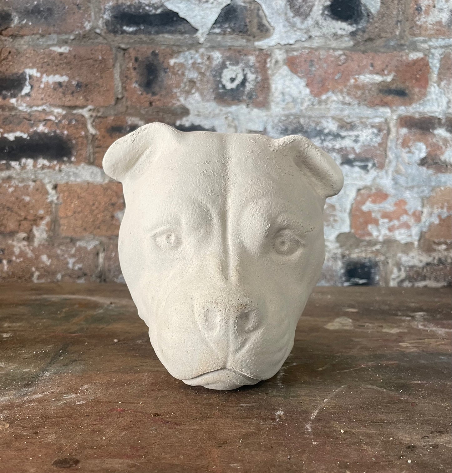 Hand cast Lime Concrete Dogheads