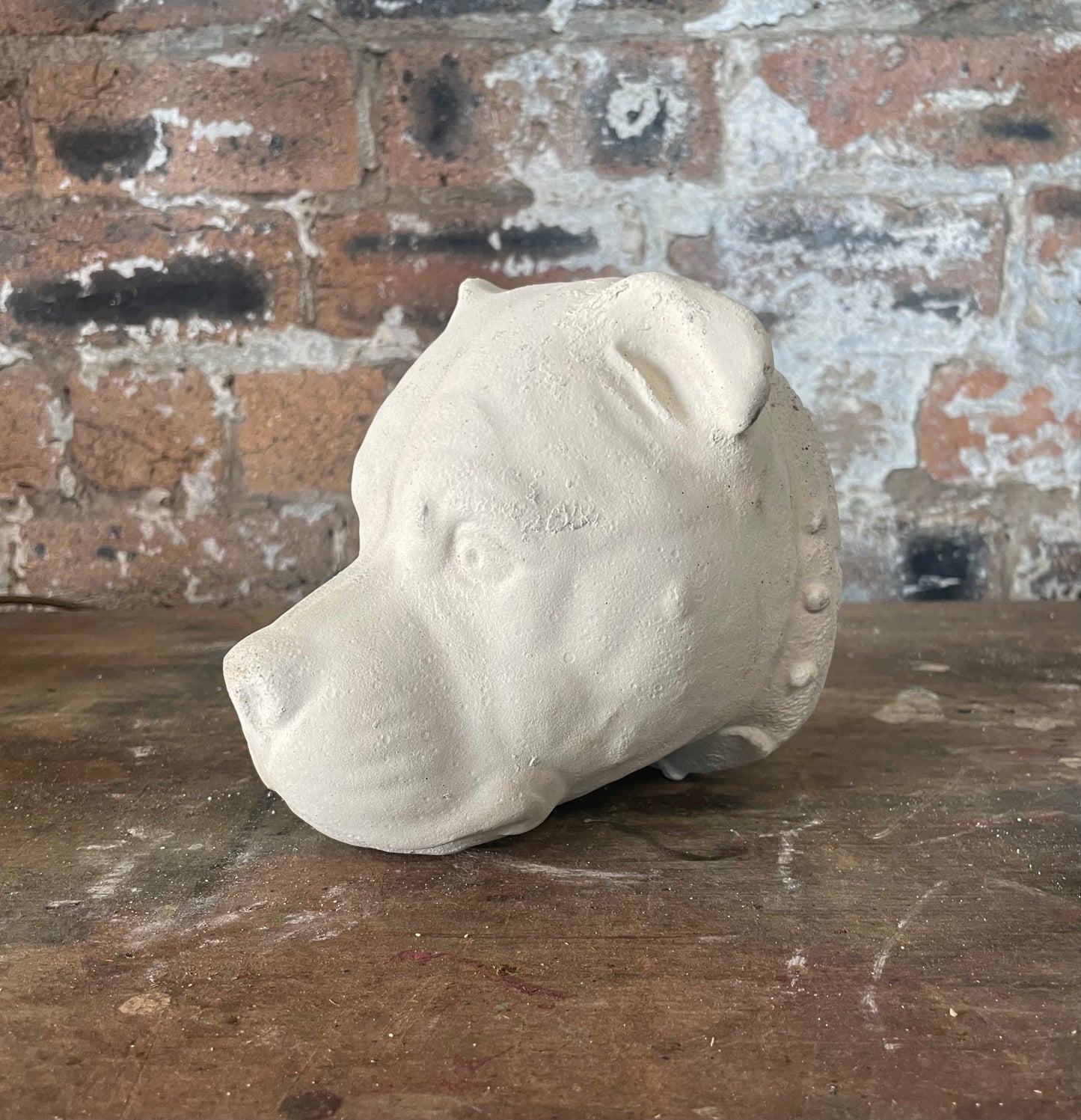 Hand cast Lime Concrete Dogheads