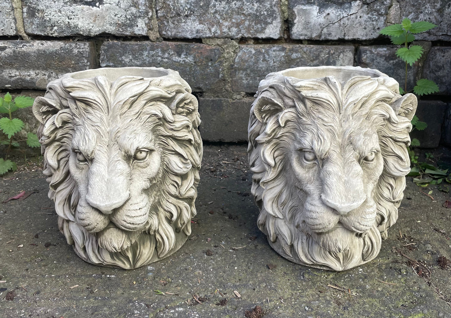 Majestic Lion's Head Concrete Planters
