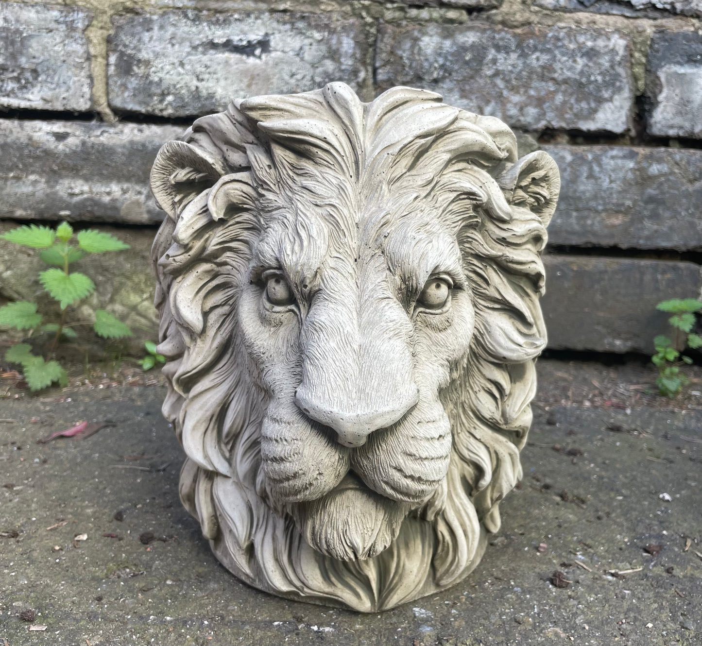 Majestic Lion's Head Concrete Planters