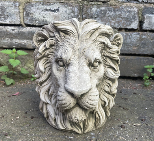 Majestic Lion's Head Concrete Planters