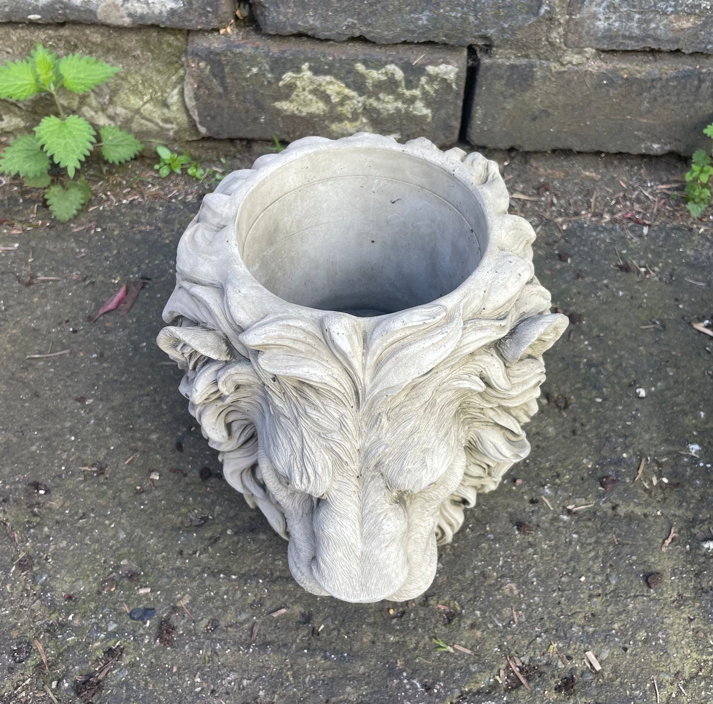 Majestic Lion's Head Concrete Planters