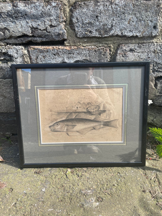 Original antique Scottish Fisherman Note Pad Pencil Sketch of a Saltwater Fish within a harbour