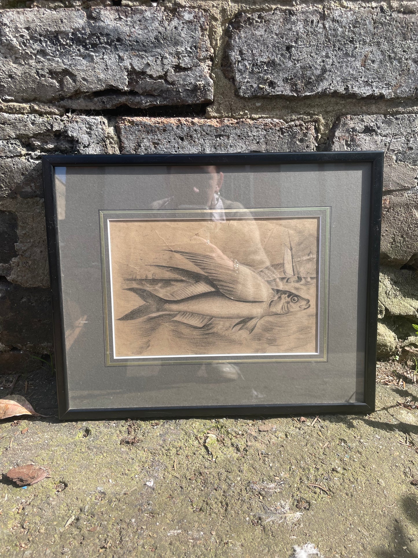 Original Scottish Antique Fisherman Note Pad Pencil Sketch of a Flying Fish With Large Pectoral Fins