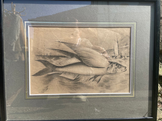 Original Scottish Antique Fisherman Note Pad Pencil Sketch of a Flying Fish With Large Pectoral Fins