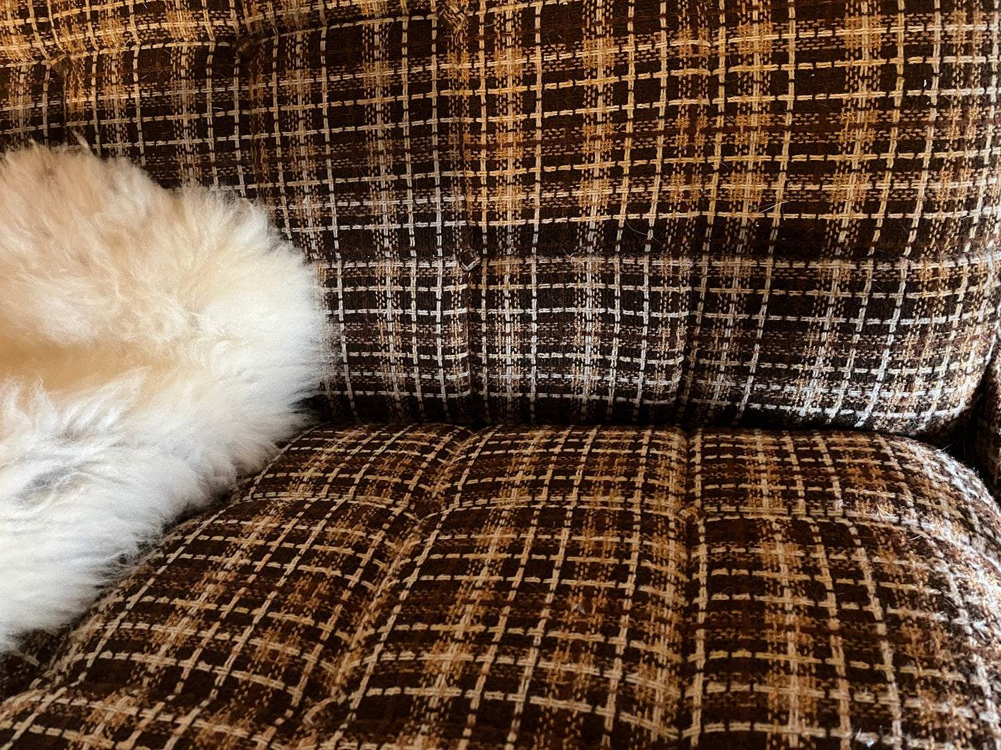 Vintage Wilhelm Knoll Antimott Daybed Sofa