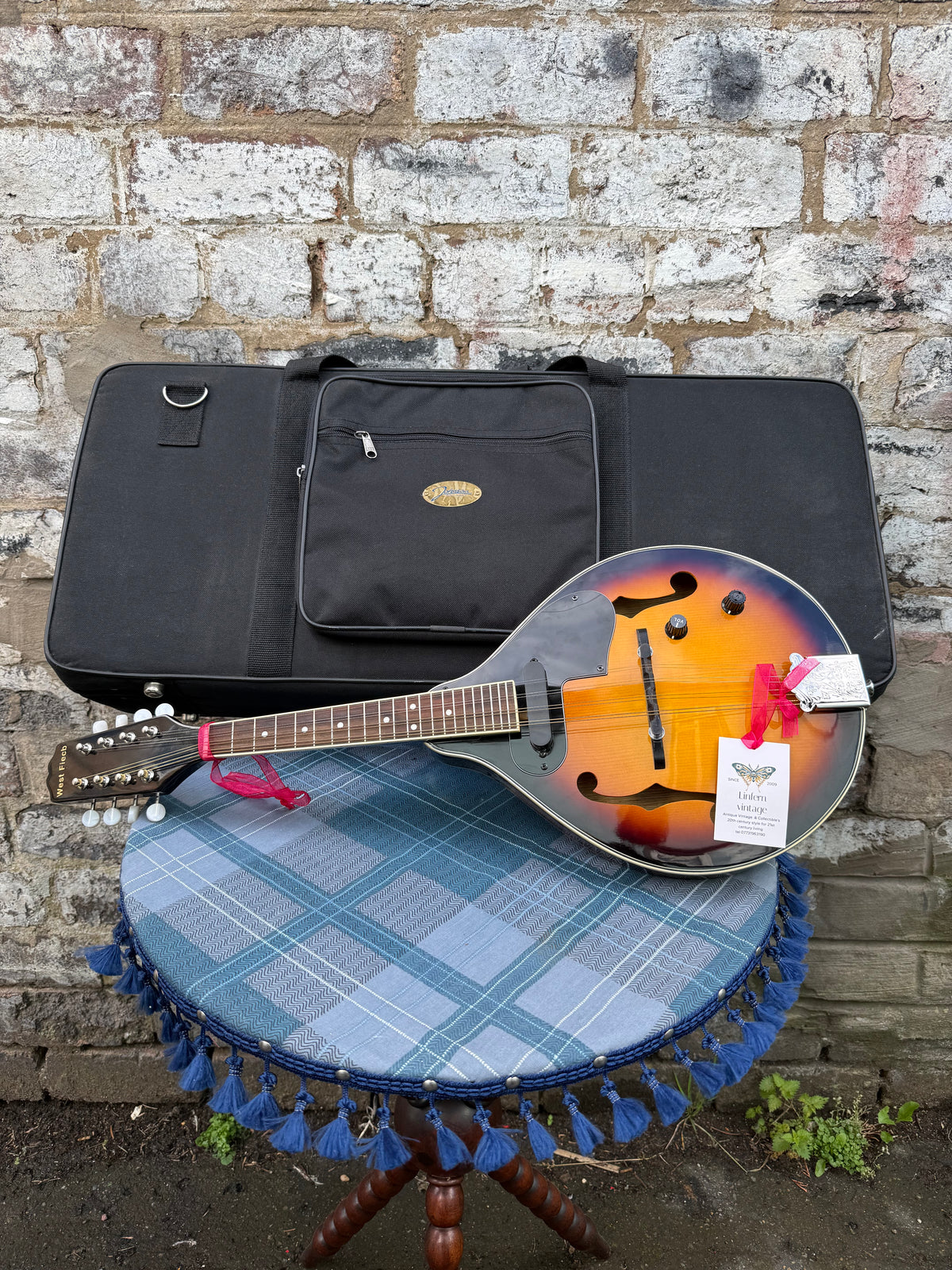Electric Acoustic A-Style Mandolin with gig bag