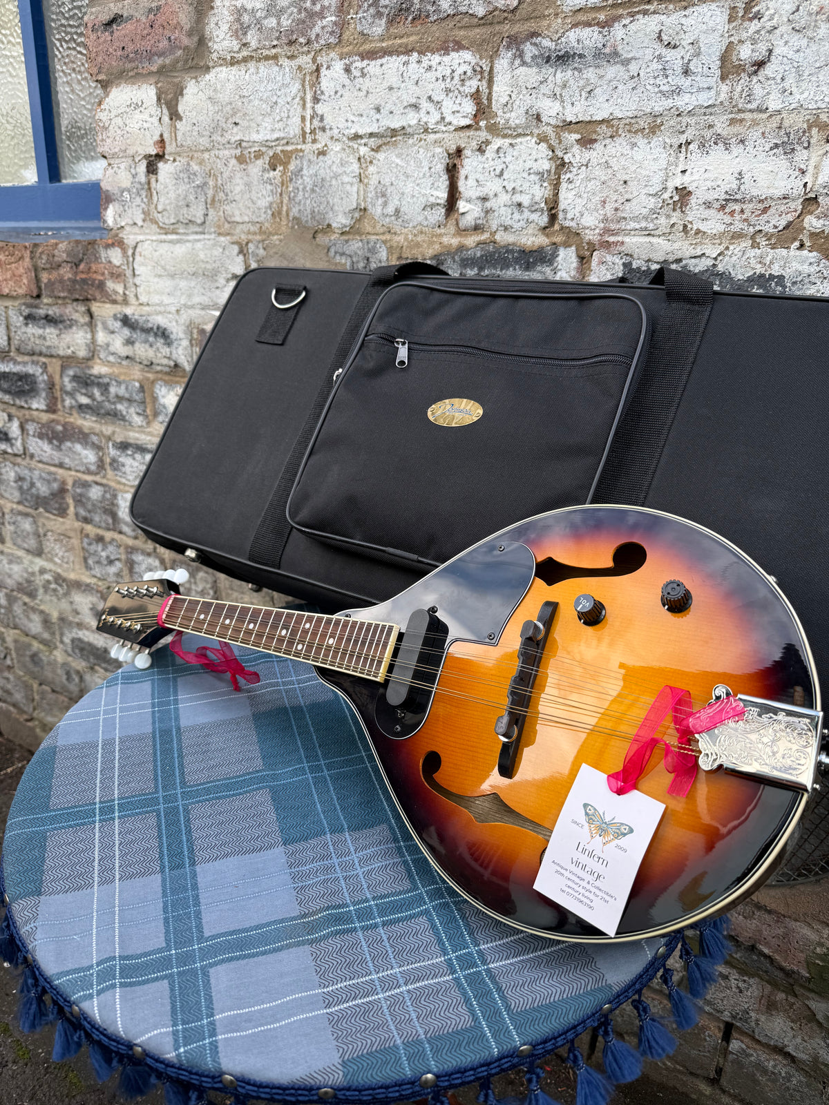 Electric Acoustic A-Style Mandolin with gig bag