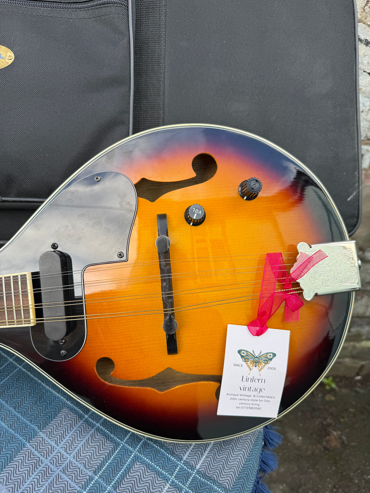 Electric Acoustic A-Style Mandolin with gig bag