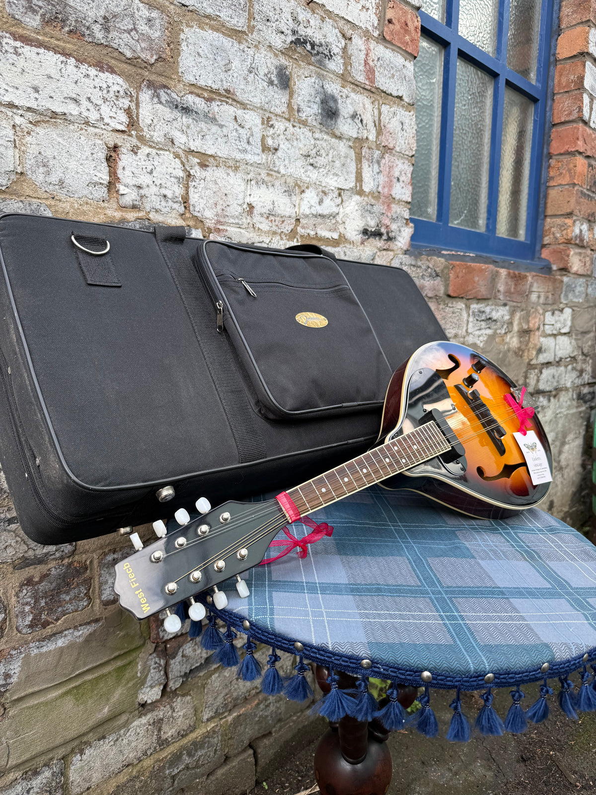 Electric Acoustic A-Style Mandolin with gig bag