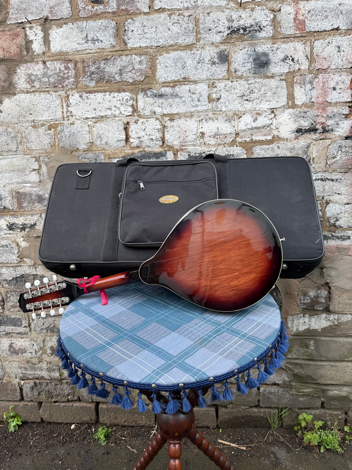 Electric Acoustic A-Style Mandolin with gig bag