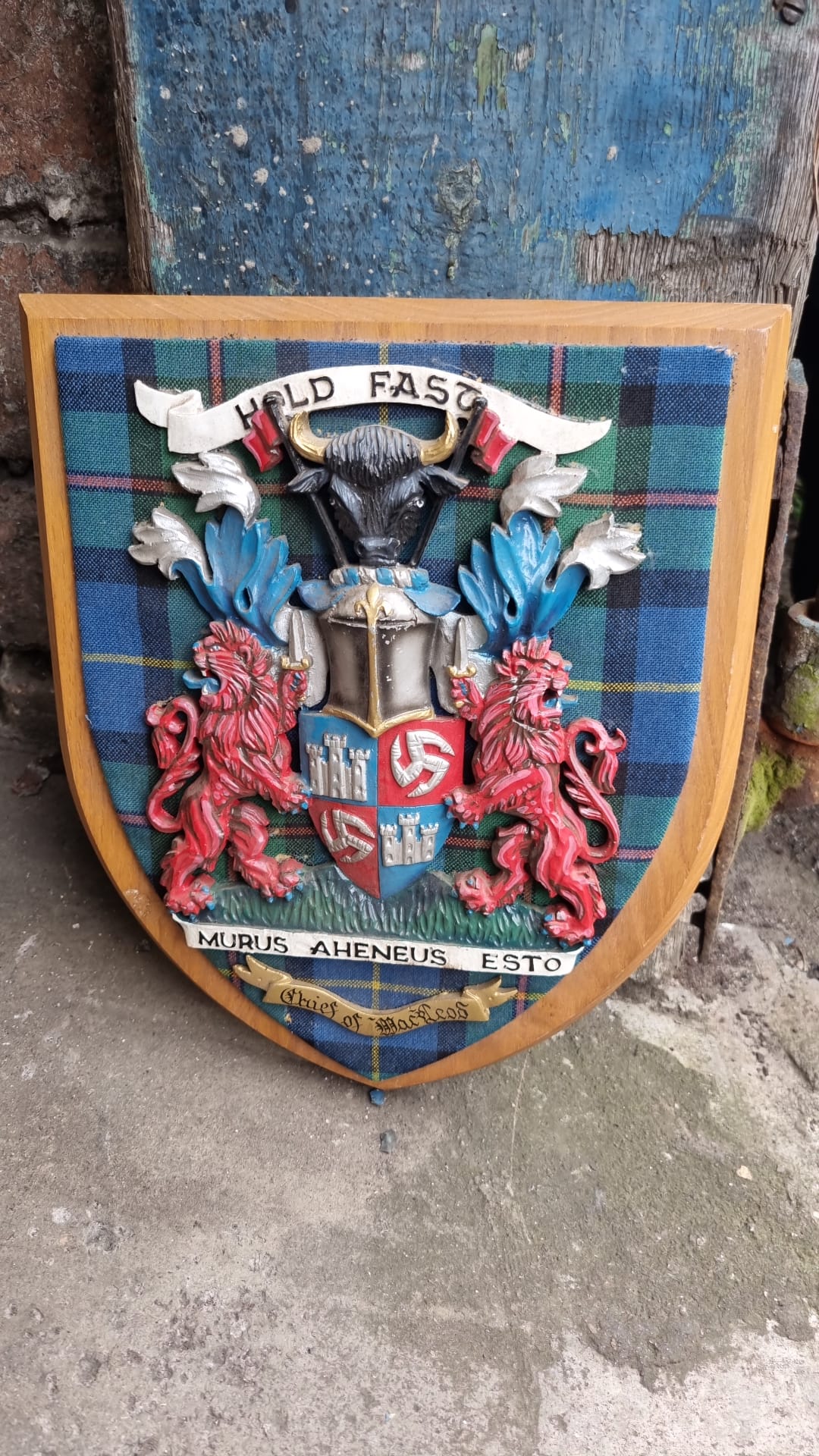 Vintage Coat of Arms of the Chief of Clan Macleod